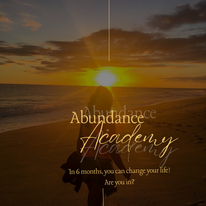 Abundance Academy